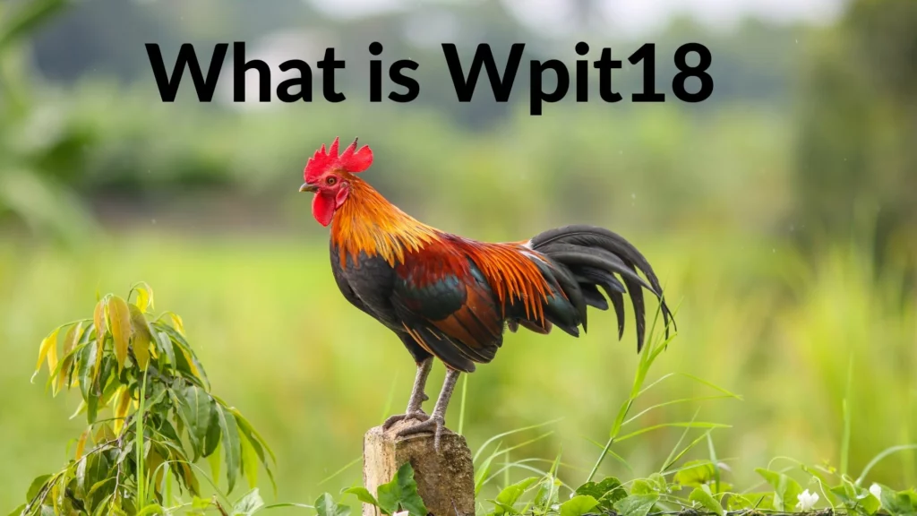 wpit18 com dashboard